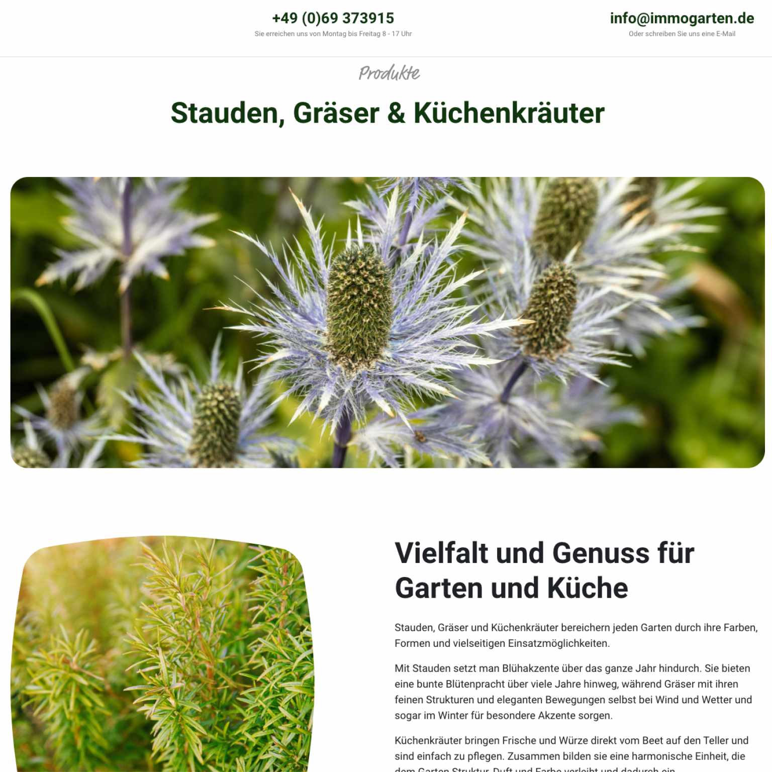 Screenshot einer Landingpage über Stauden, Gräser und Küchenkräuter