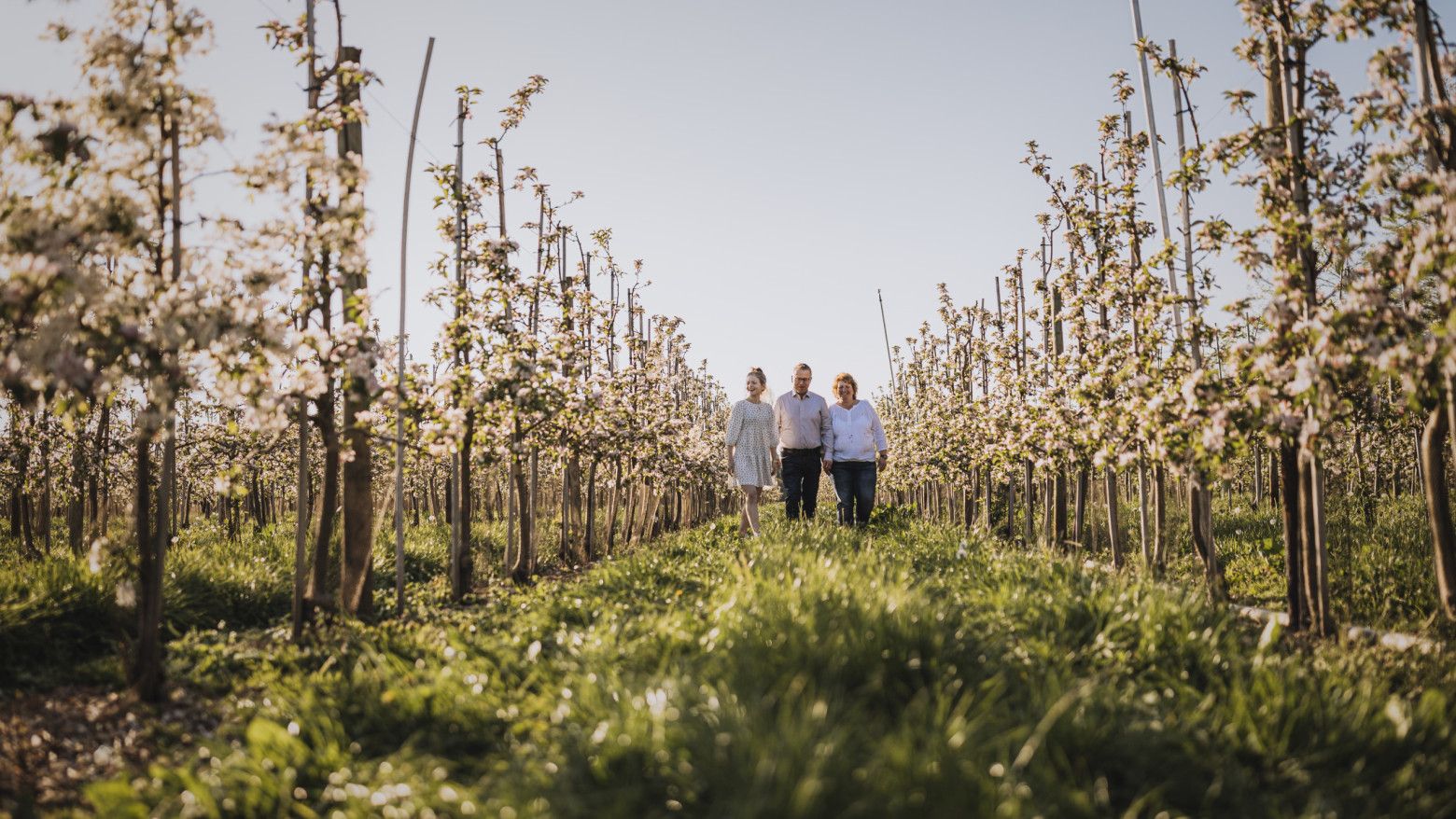 Gruppe von drei Personen läuft über ein Feld mit Obststräuchern bei Sonnenschein