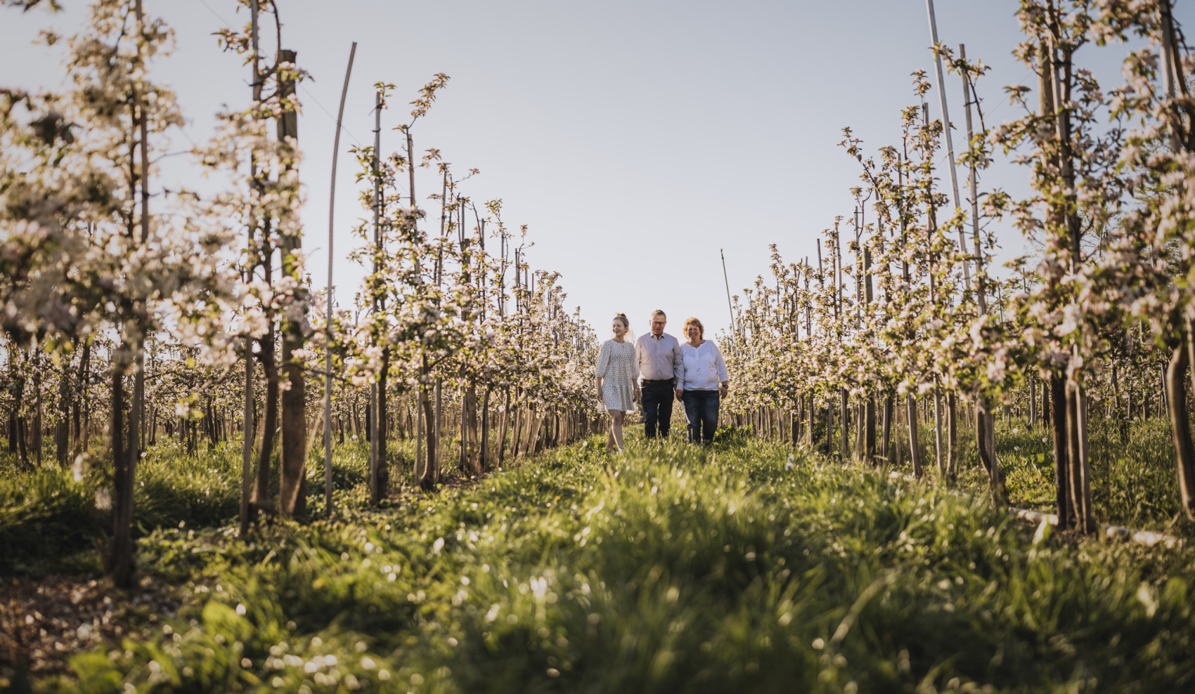 Gruppe von drei Personen läuft über ein Feld mit Obststräuchern bei Sonnenschein