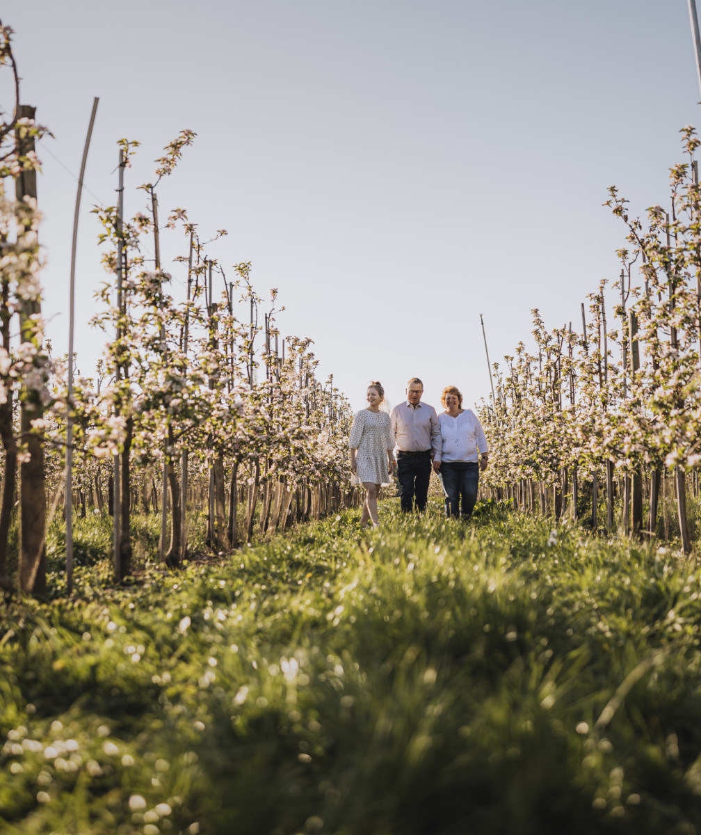 Gruppe von drei Personen läuft über ein Feld mit Obststräuchern bei Sonnenschein