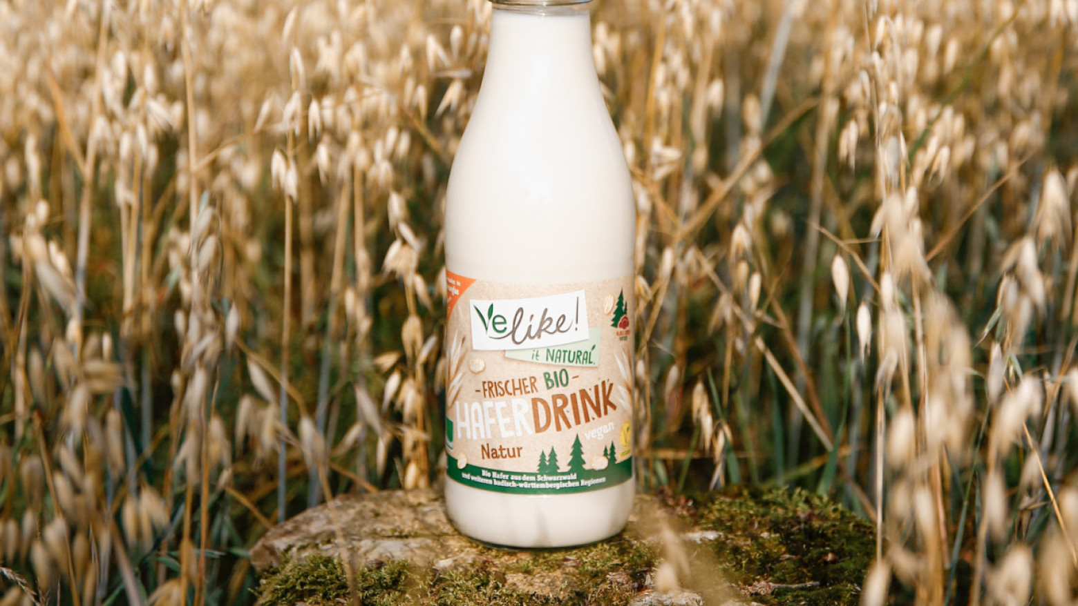 Flasche Haferdrink 