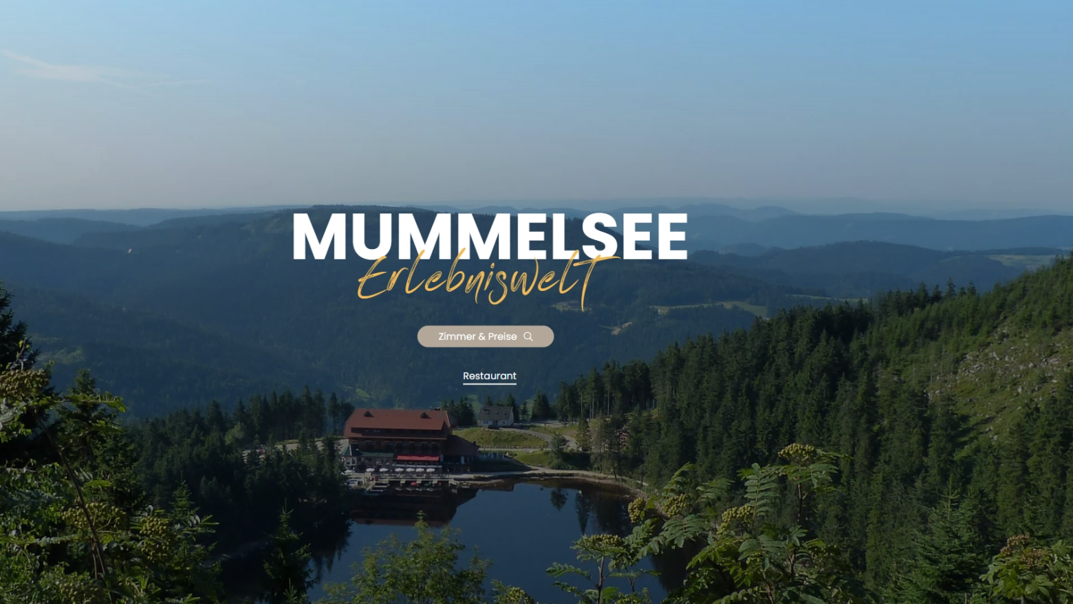 Screenshot Website Mummelsee